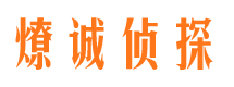 蔡甸市调查公司